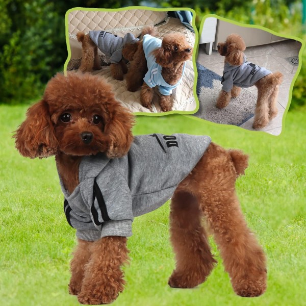 MODE HUND Bluza dla małego psa z kapturem, kolor szary, rozmiar S