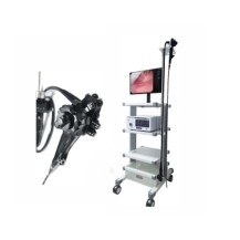 Weterynaryjny endoskop diagnostyczny VET-8500