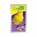 NESTOR MELODIA DLA KANARKÓW 20g