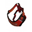 ALL FOR DOGS Sportowe Szelki Czerwone M