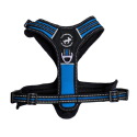 ALL FOR DOGS Szelki 3x-Sport Niebieskie S