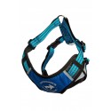 ALL FOR DOGS Sportowe Szelki Niebieskie M