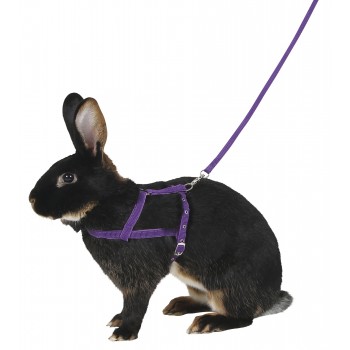 KERBL Uprząż dla królika, 34 - 50 cm, L [81761]