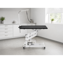 Hydrauliczny stół groomerski BET-1 typu Z, regulacja wysokości 57–92 cm — w gabinecie weterynaryjnym