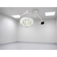 Lampa operacyjna LED jednoczaszowa sufitowa z panelem LCD | YDE-700C — w gabinecie weterynaryjnym