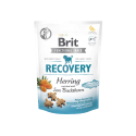 BRIT CARE Dog Functional Snack Recovery Herring & Sea Buckthorn 150g