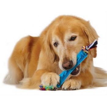 PETSTAGES ORKA Stick Rurka z supłami [PS220]
