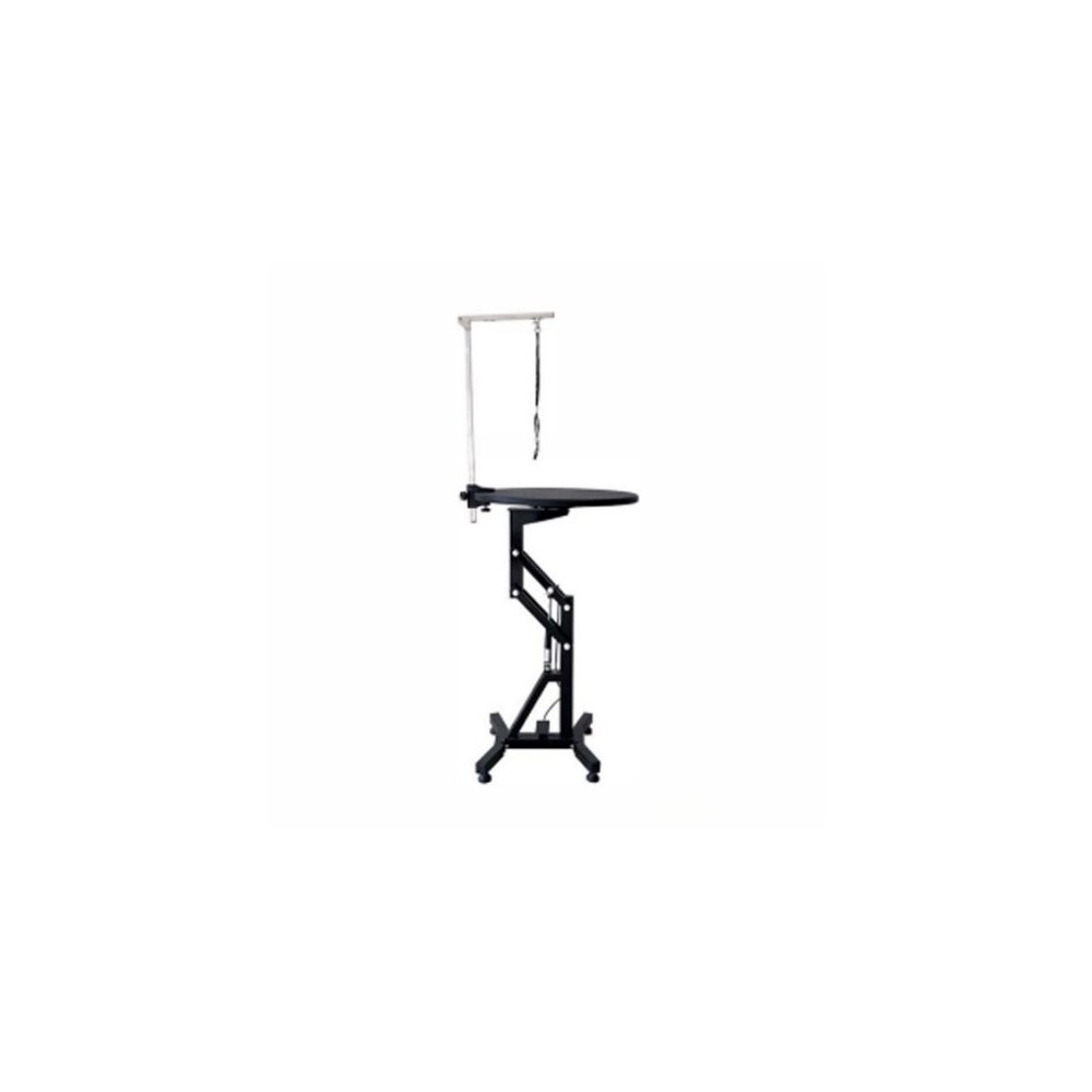 BET-12 electric grooming table, with restraint arm, stable