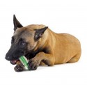 PETSTAGES CRUNCHCORE Medium [PS265]