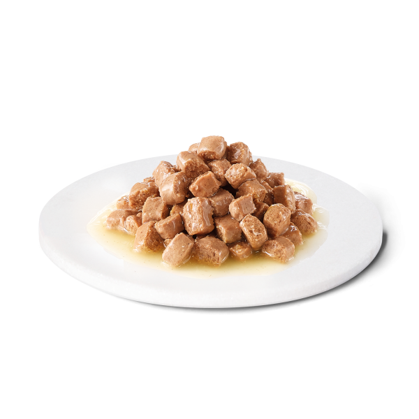 ADVANCE DIET Gastroenteric - mokra karma dla kotów z problemami układu pokarmowego 85g