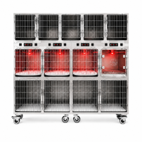 Klatka weterynaryjna 13-stanowiskowa - INFRARED + OXYGEN DOOR PC-9B