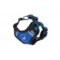 ALL FOR CATS Sportowe szelki Niebieski S dla kota