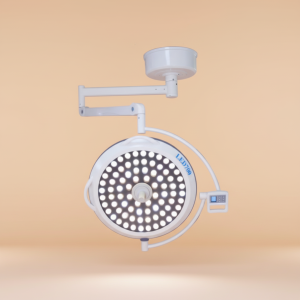 Lampy Sufitowe Jednoczaszowe